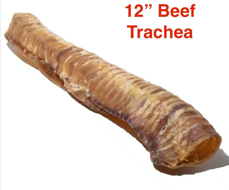 Beef Trachea