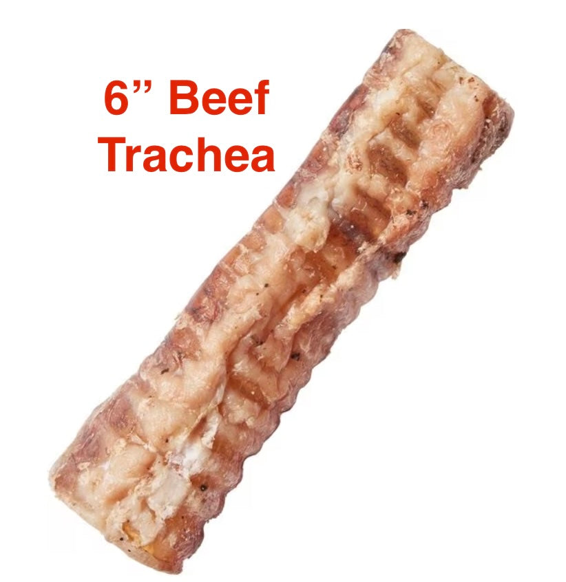 Beef Trachea