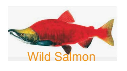 Wild Alaskan Salmon