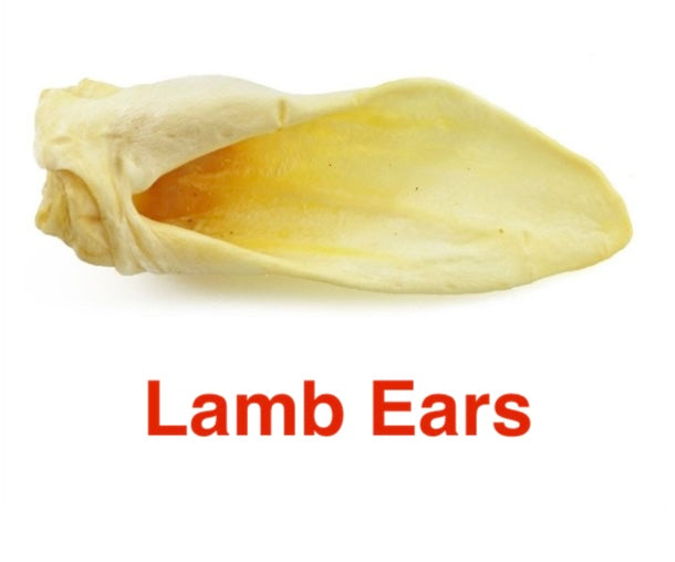 Lamb Ears